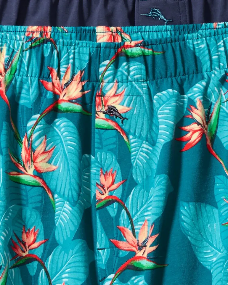 Big & Tall Tropical Print & Solid Knit Boxers—2-Pack
