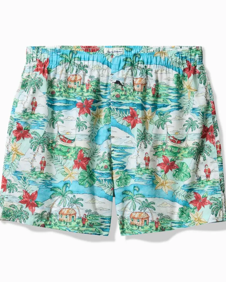 Big & Tall Woven Tropical Print Boxers