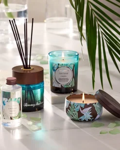 Coconut Oasis Travel Candle Tin