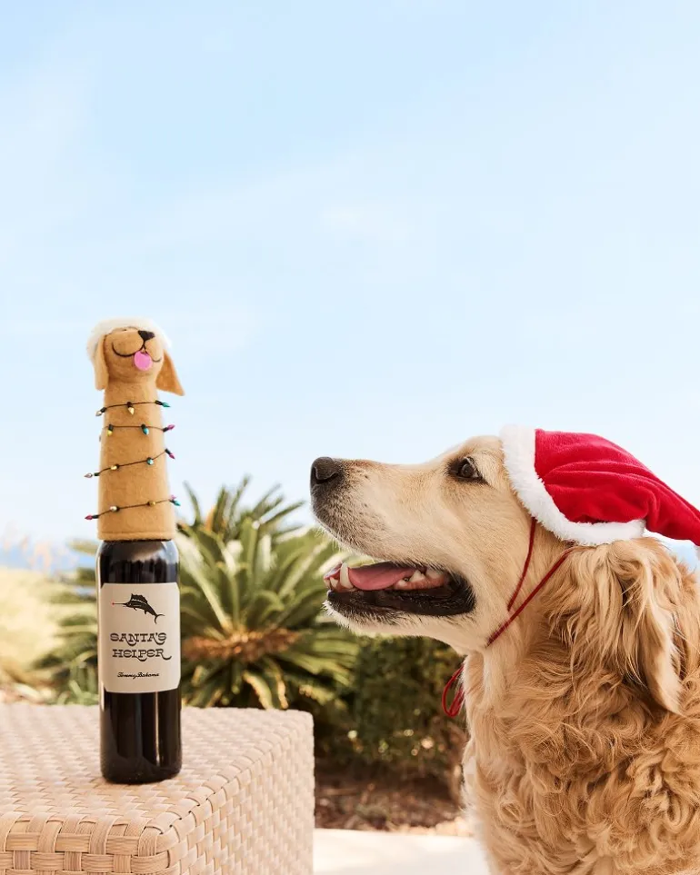 Santa & Retriever Bottle Topper Set